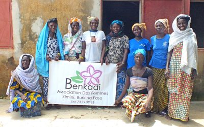 The Story of Benkadi