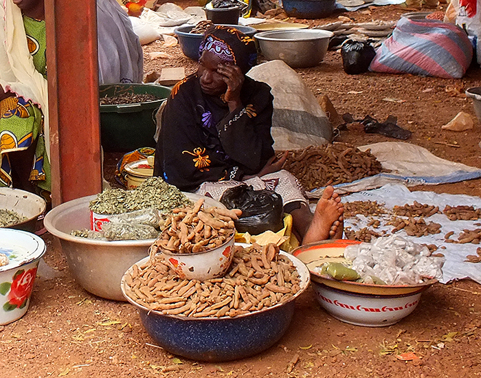 woman selling goods at an African market
